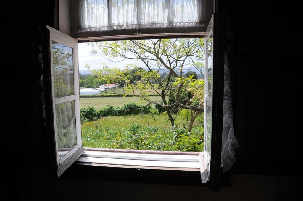 Photo of open window looking to open grassy area with small tree in the forground